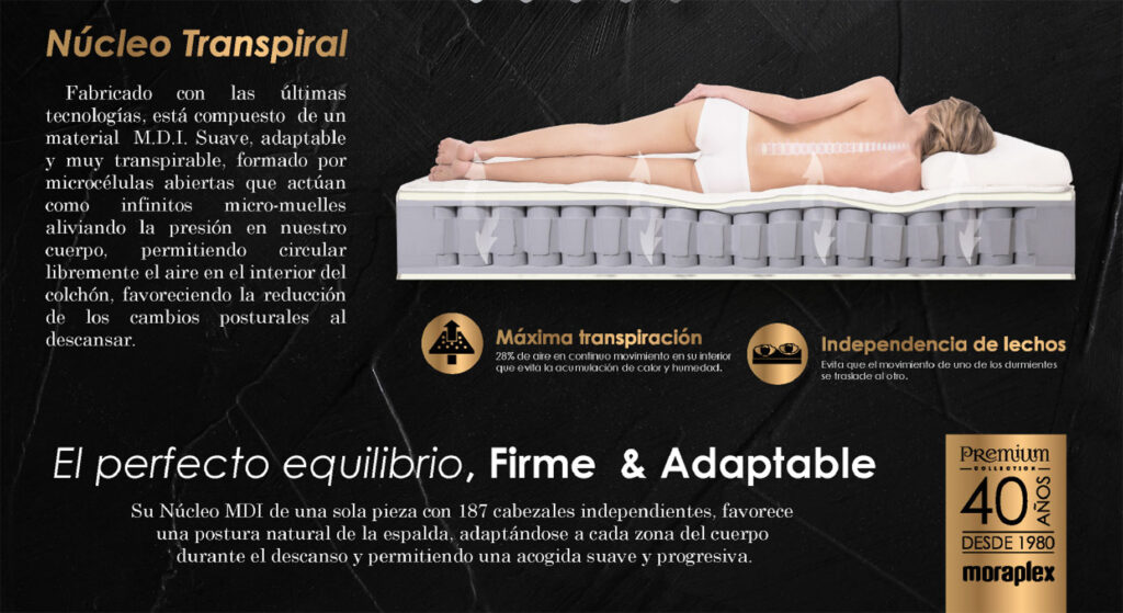 nucleo-transpiral especificaciones tecnicas moraplex