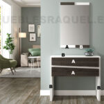 recibidor-10-elegir-color