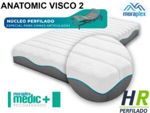 anatomic visco 2