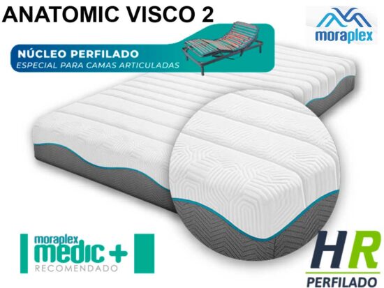 portada principal anatomic visco